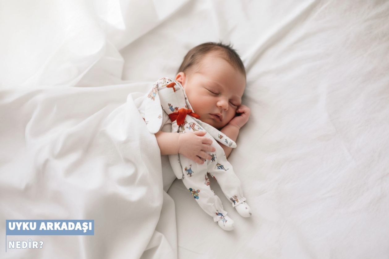 Uyku Arkadaşı Nedir?