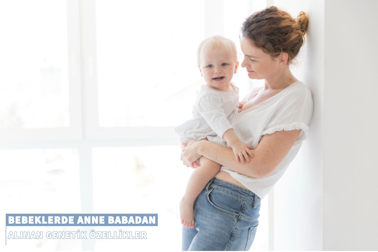 Bebeklerde Anne Babadan Alınan Genetik Özellikler