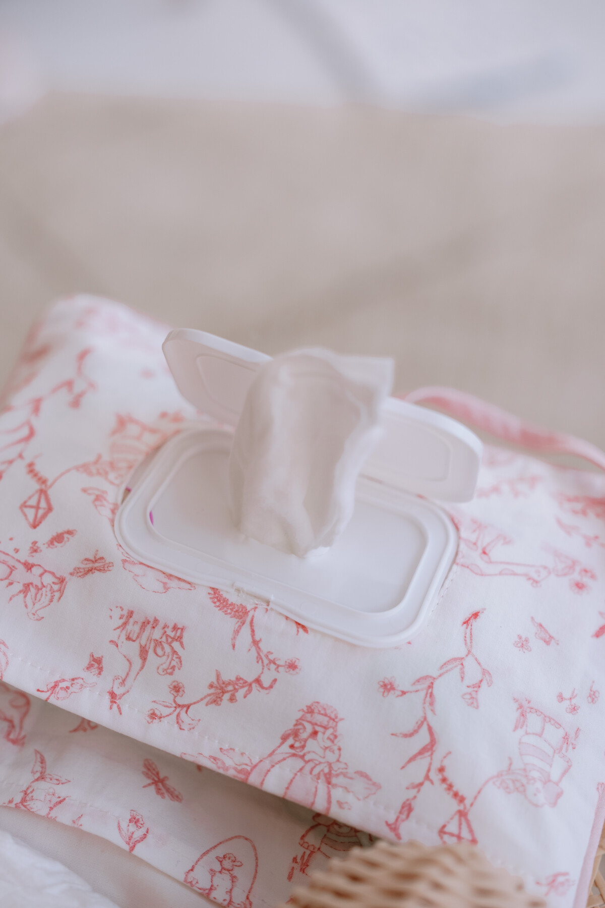 Wet Wipes & Diaper Bag  - Toile De Jouy / Pink