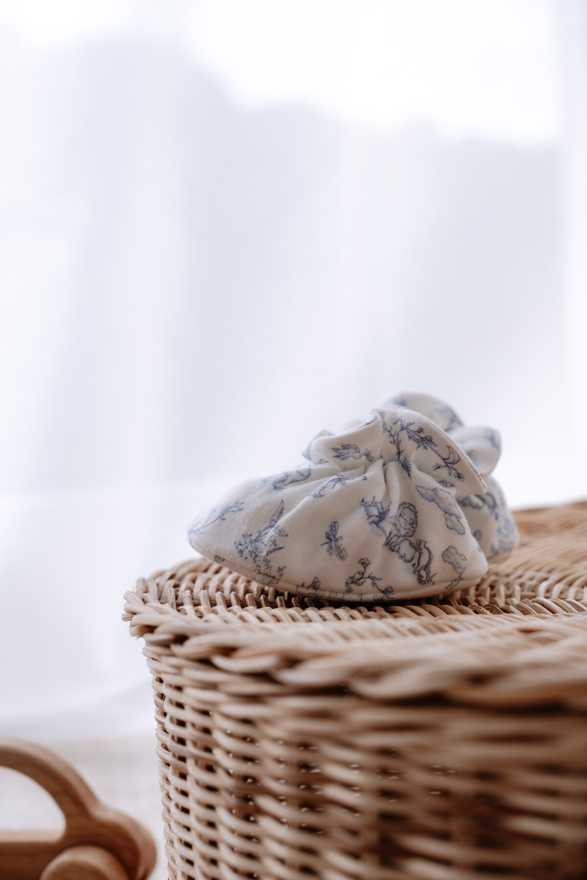 Bebek Patiği - Toile De Jouy / Mavi