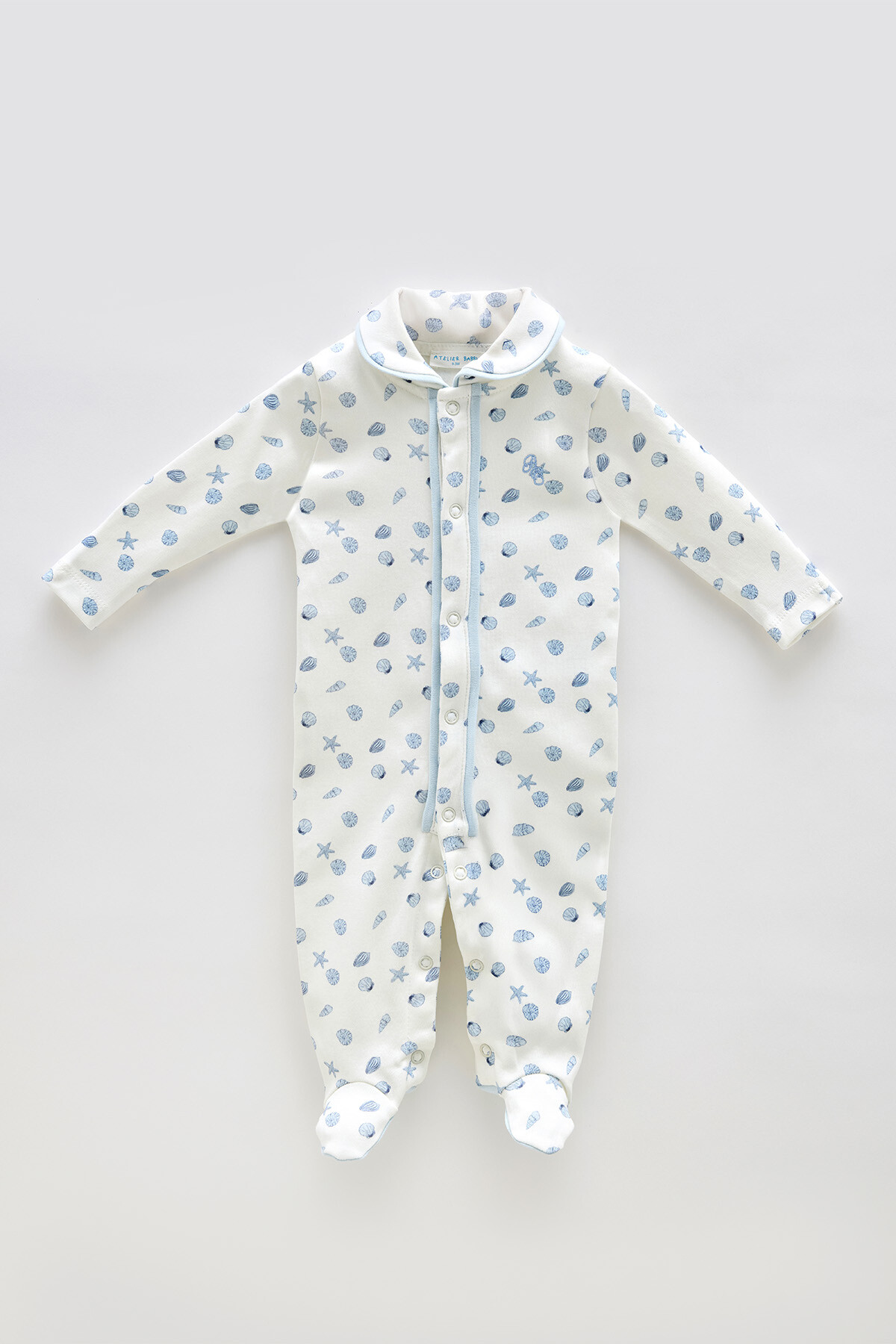 Bebek Tulum - Deniz Kabukları