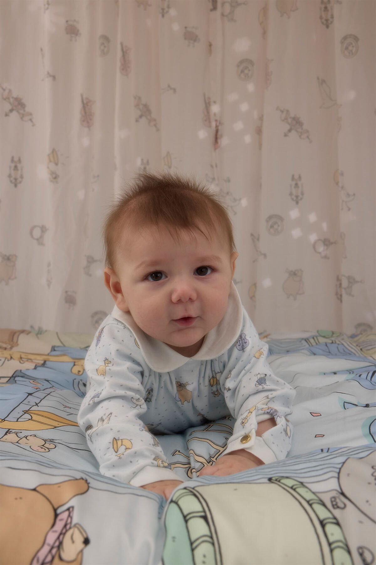 Bebek Tulum - Theatre / Mavi