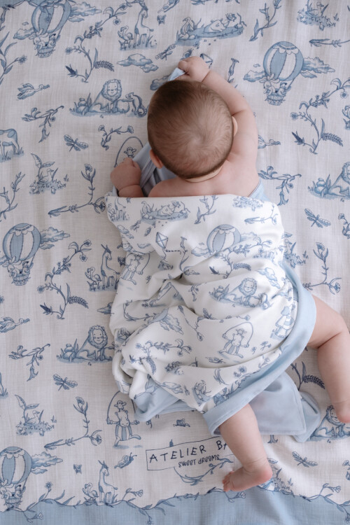 Double Sided Blanket - Toile De Jouy / Blue