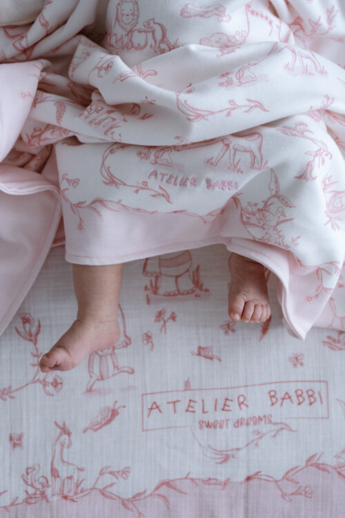Double Sided Blanket - Toile De Jouy / Pink