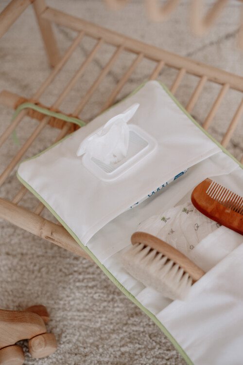 WET WIPES & DIAPER BAG - PICNIC