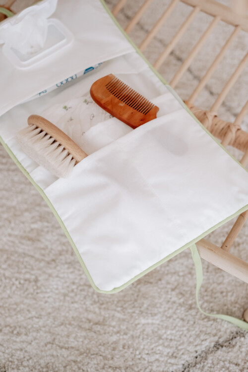 WET WIPES & DIAPER BAG - PICNIC