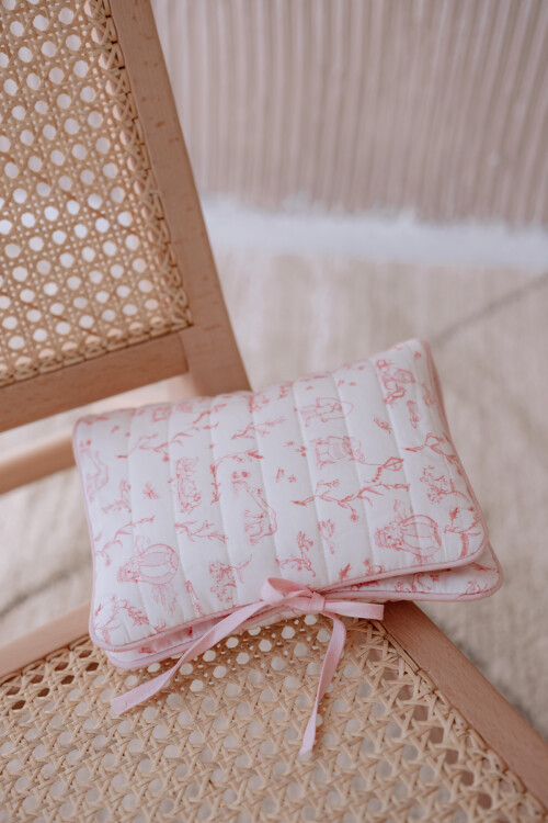 Wet Wipes & Diaper Bag  - Toile De Jouy / Pink