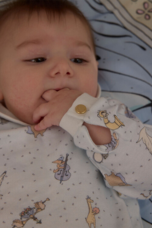 Bebek Tulum - Theatre / Mavi